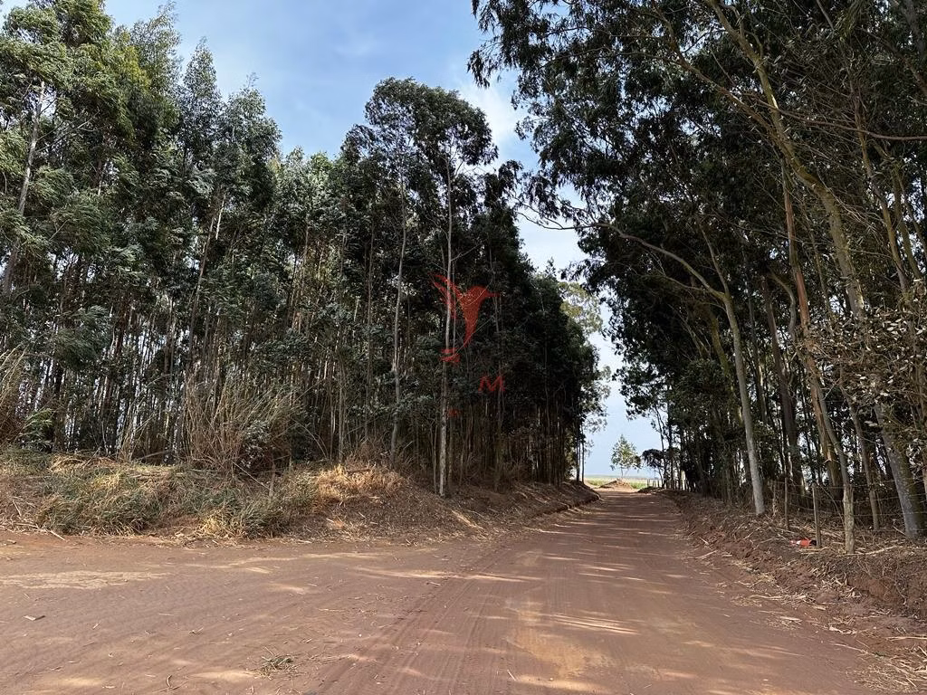 Small farm for sale of 42 acres in Brotas, SP, Brazil