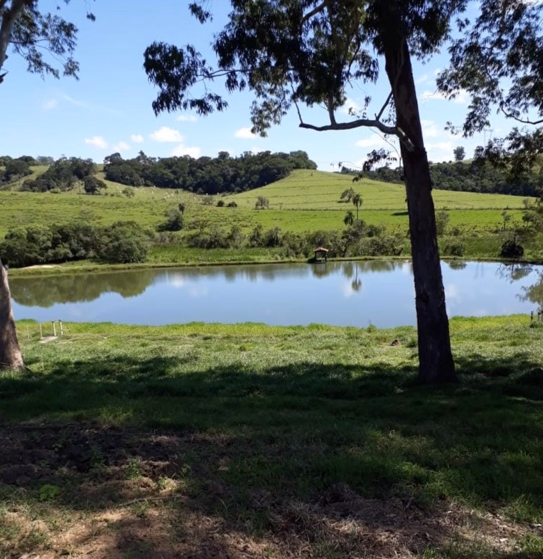 Fazenda de 300 ha em Itapetininga, SP