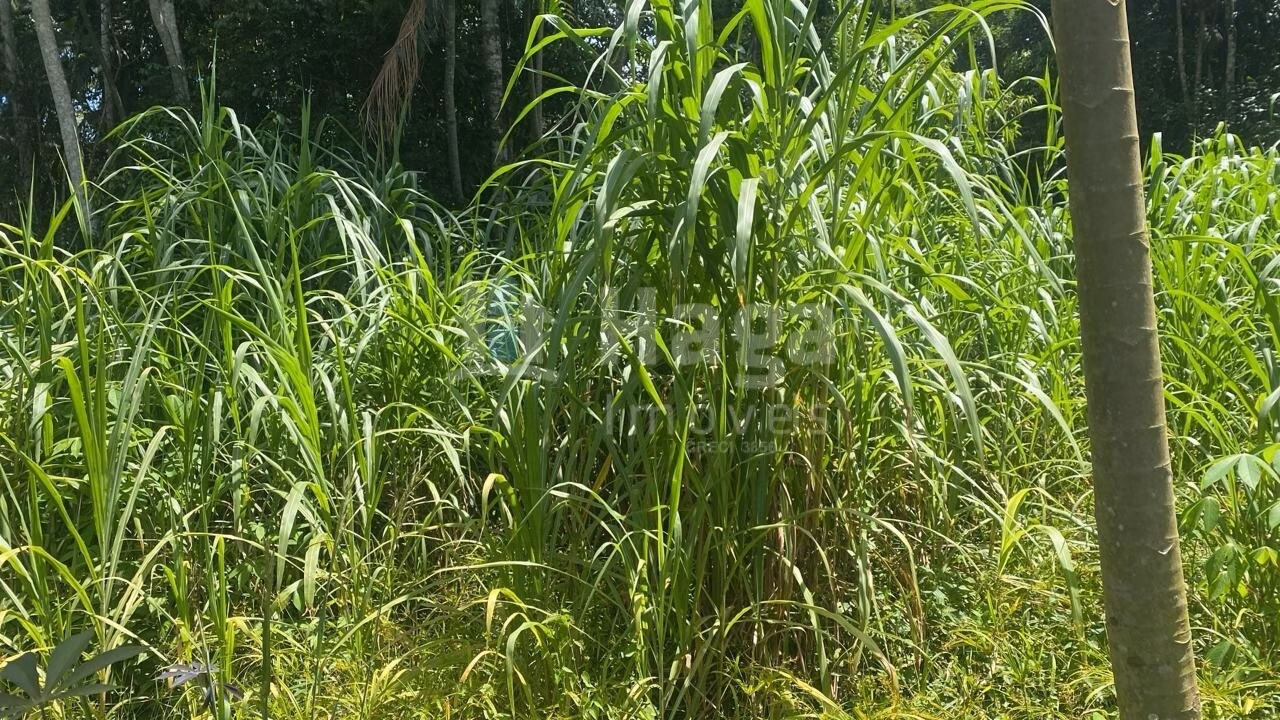 Terreno de 600 m² em Guabiruba, SC