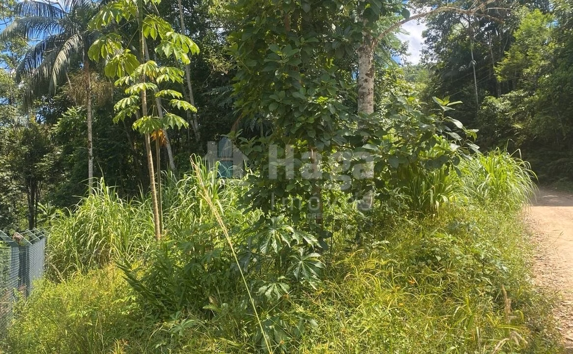 Terreno de 600 m² em Guabiruba, SC