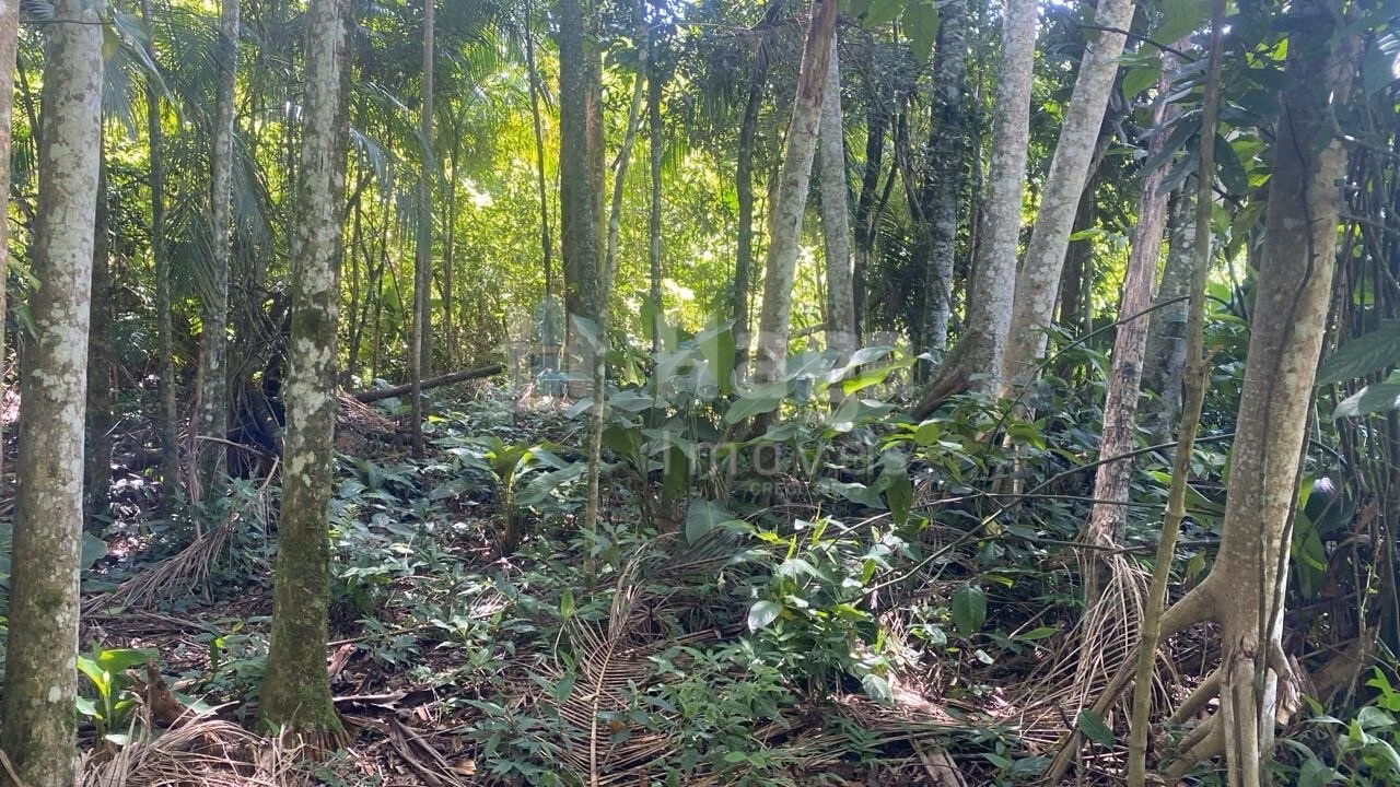 Terreno de 600 m² em Guabiruba, SC