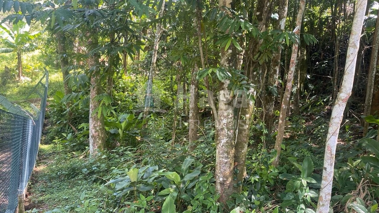 Terreno de 600 m² em Guabiruba, SC