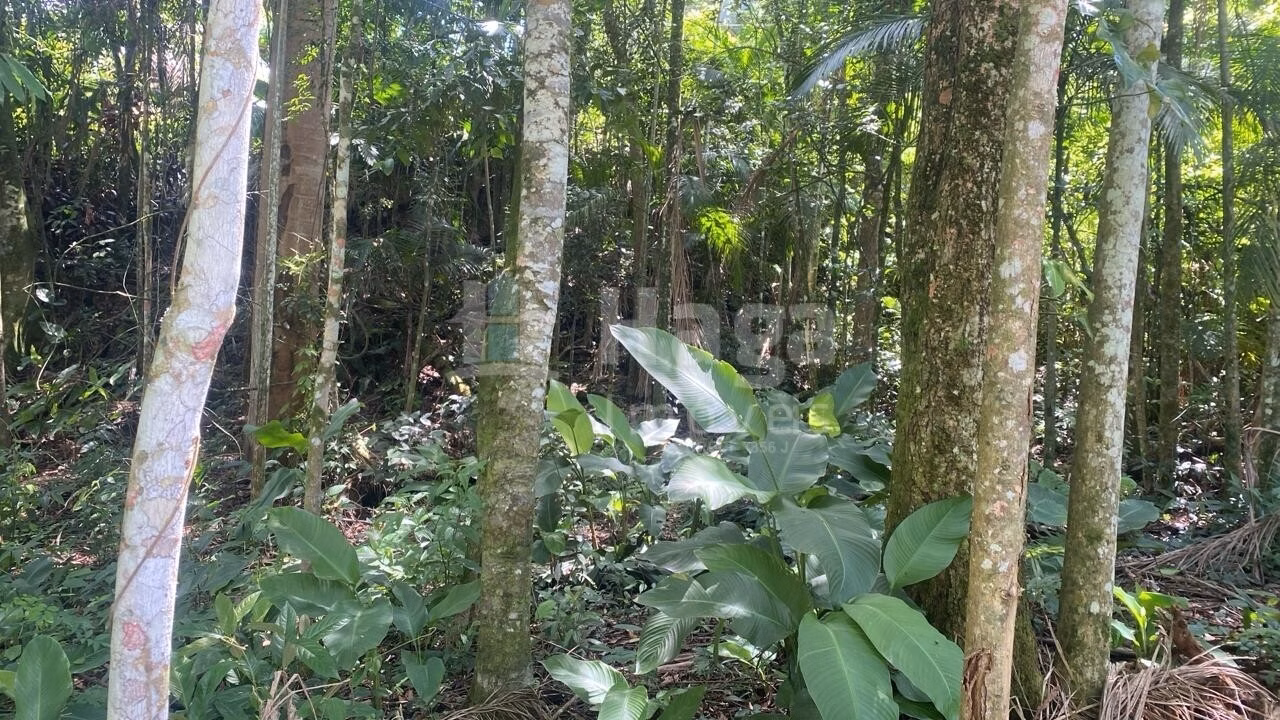 Terreno de 600 m² em Guabiruba, SC