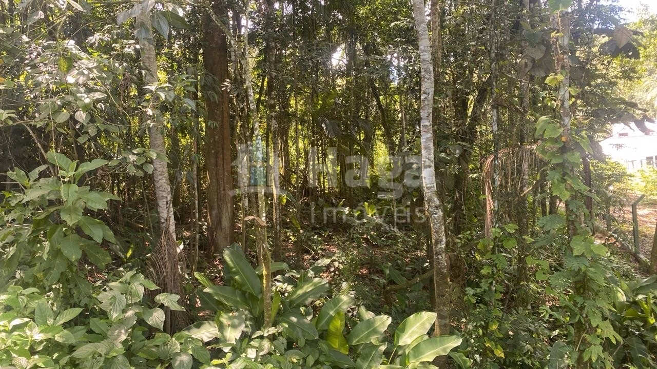 Terreno de 600 m² em Guabiruba, SC