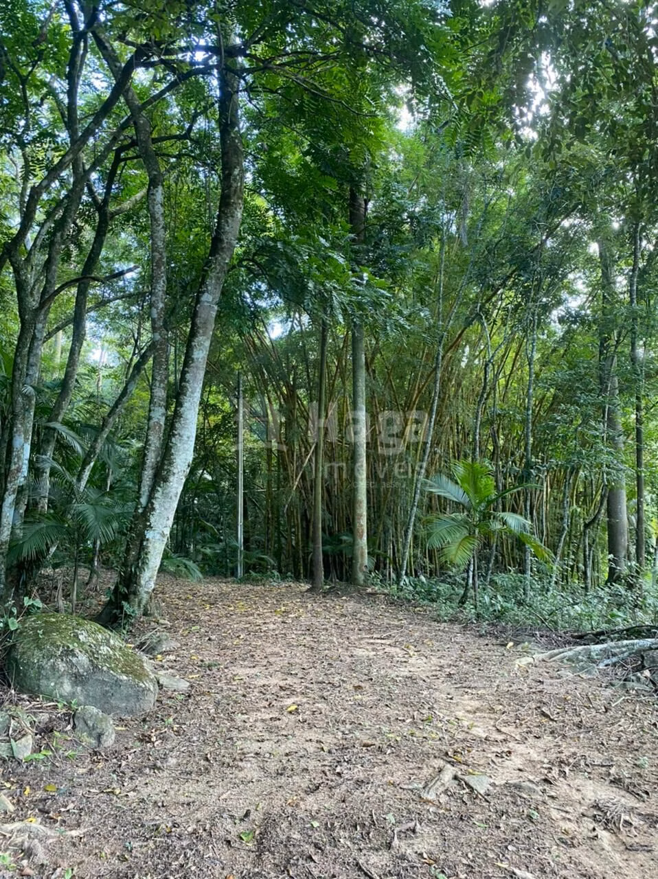 Farm of 5 acres in Canelinha, SC, Brazil
