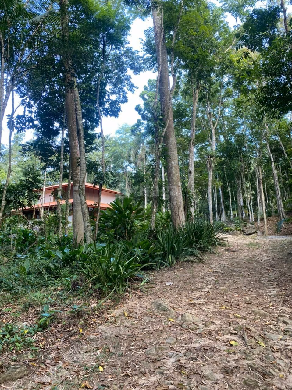 Farm of 5 acres in Canelinha, SC, Brazil