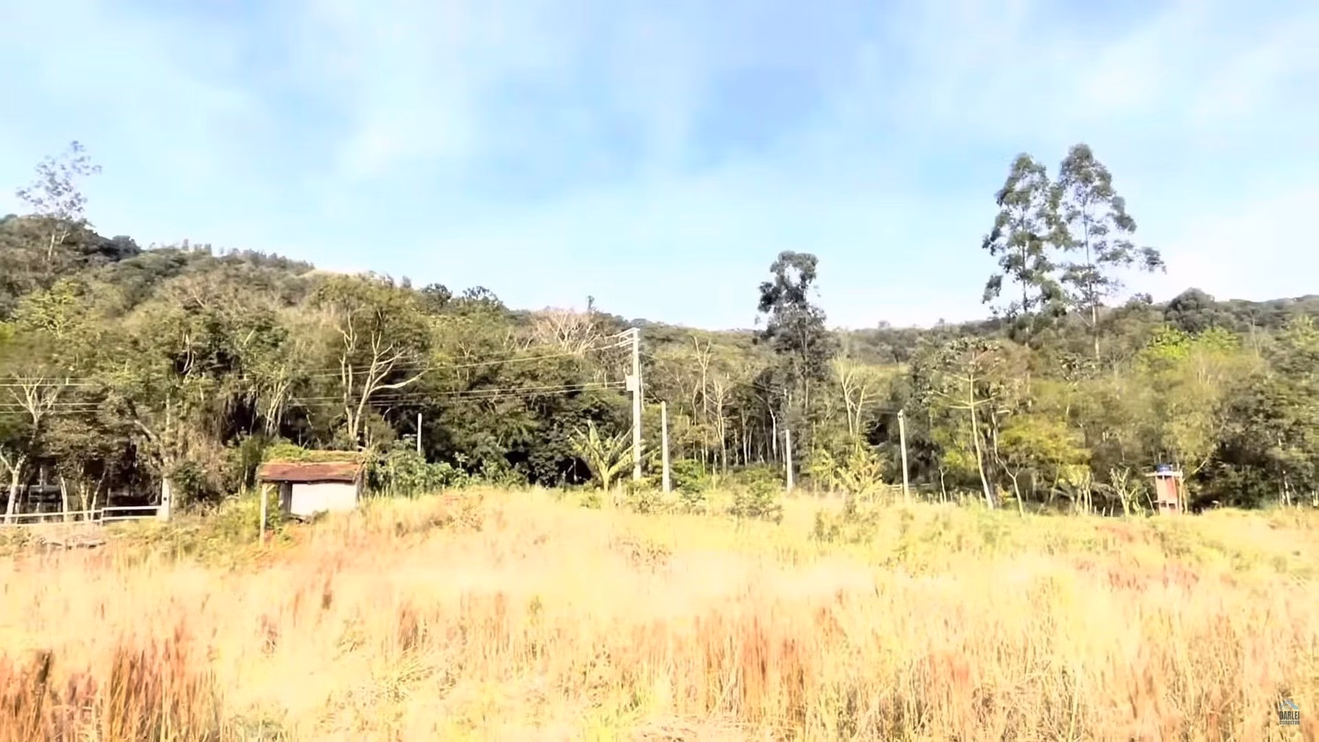 Chácara de 3 ha em Taquara, RS