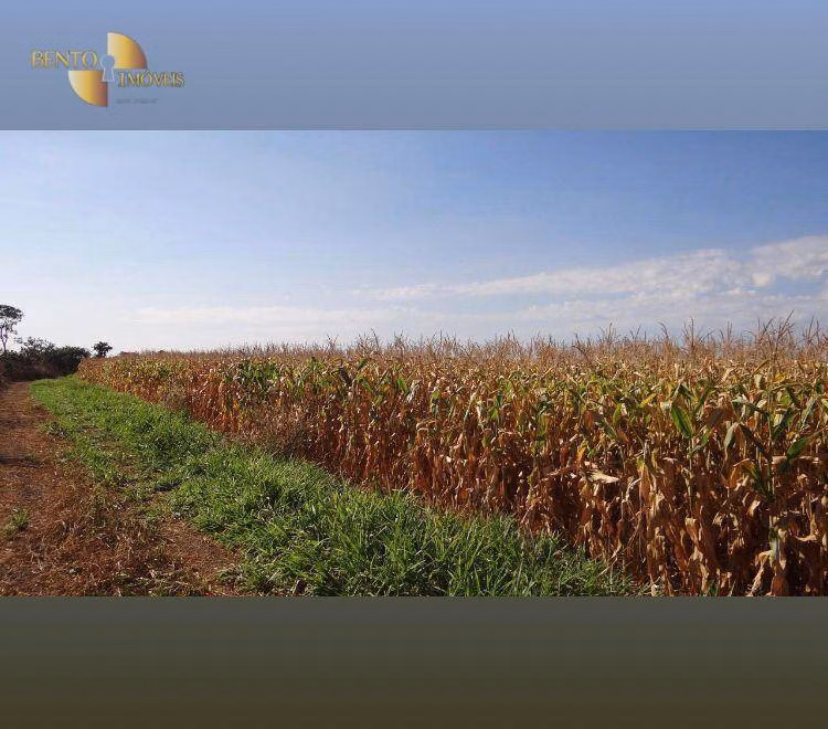 Fazenda de 970 ha em Cuiabá, MT