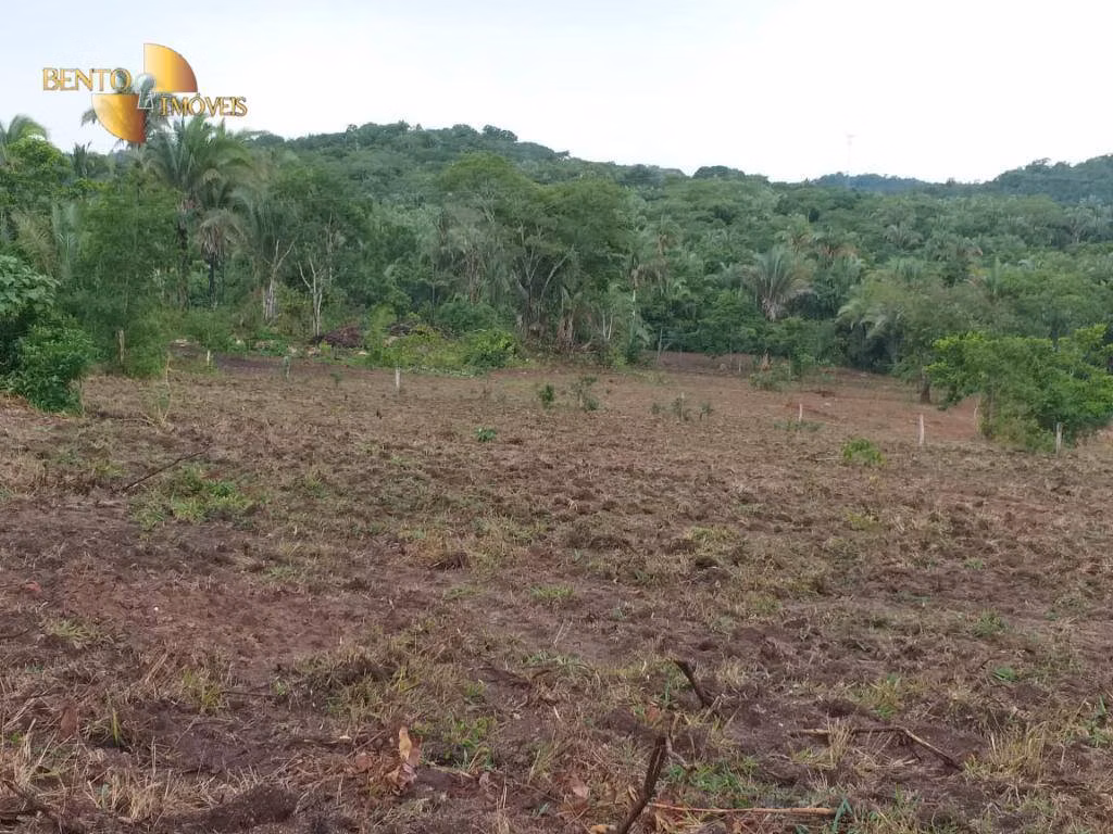 Fazenda de 1.000 ha em Rondonópolis, MT