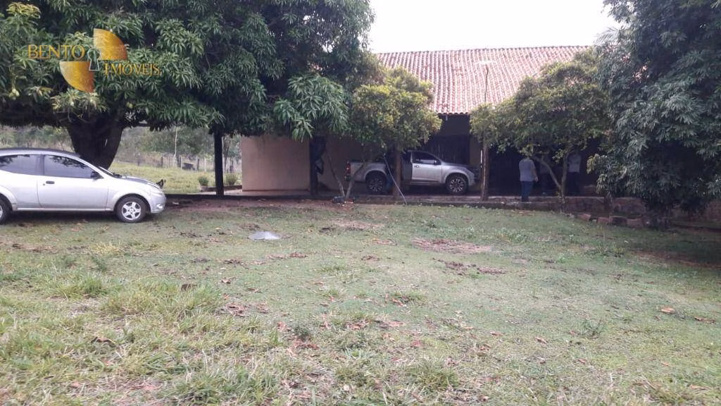 Fazenda de 1.000 ha em Rondonópolis, MT