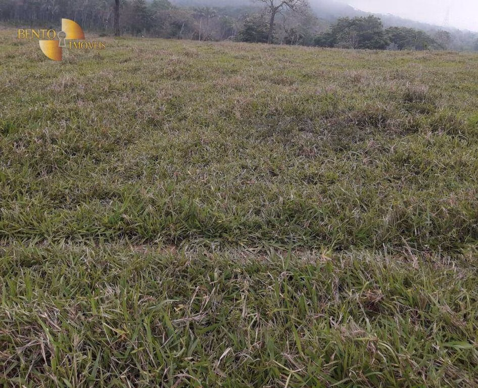 Fazenda de 1.000 ha em Rondonópolis, MT