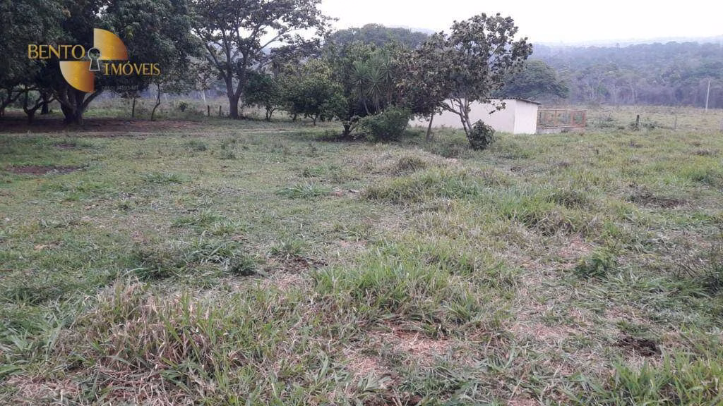 Fazenda de 1.000 ha em Rondonópolis, MT
