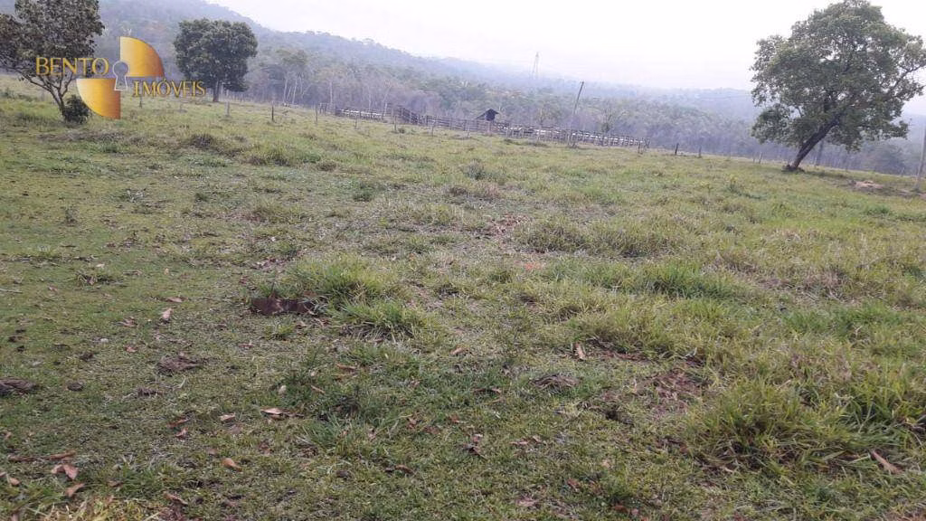 Fazenda de 1.000 ha em Rondonópolis, MT