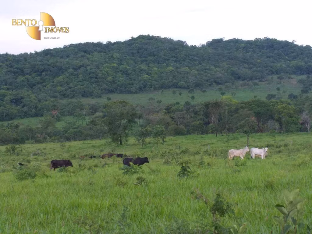 Fazenda de 1.000 ha em Rondonópolis, MT