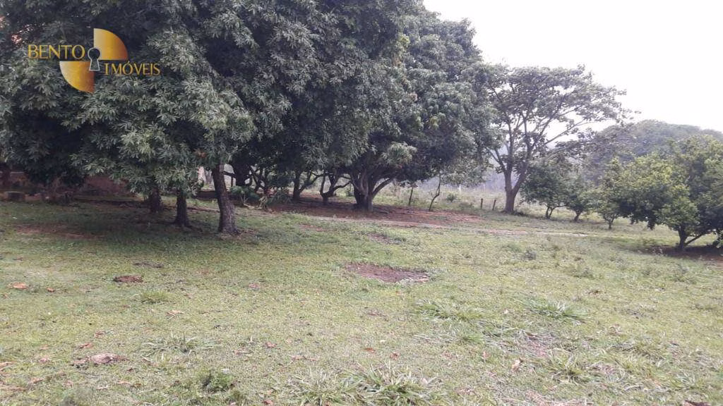 Fazenda de 1.000 ha em Rondonópolis, MT