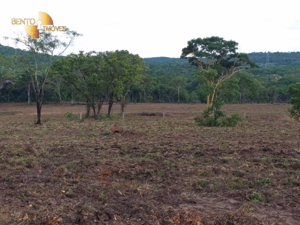 Fazenda de 1.000 ha em Rondonópolis, MT