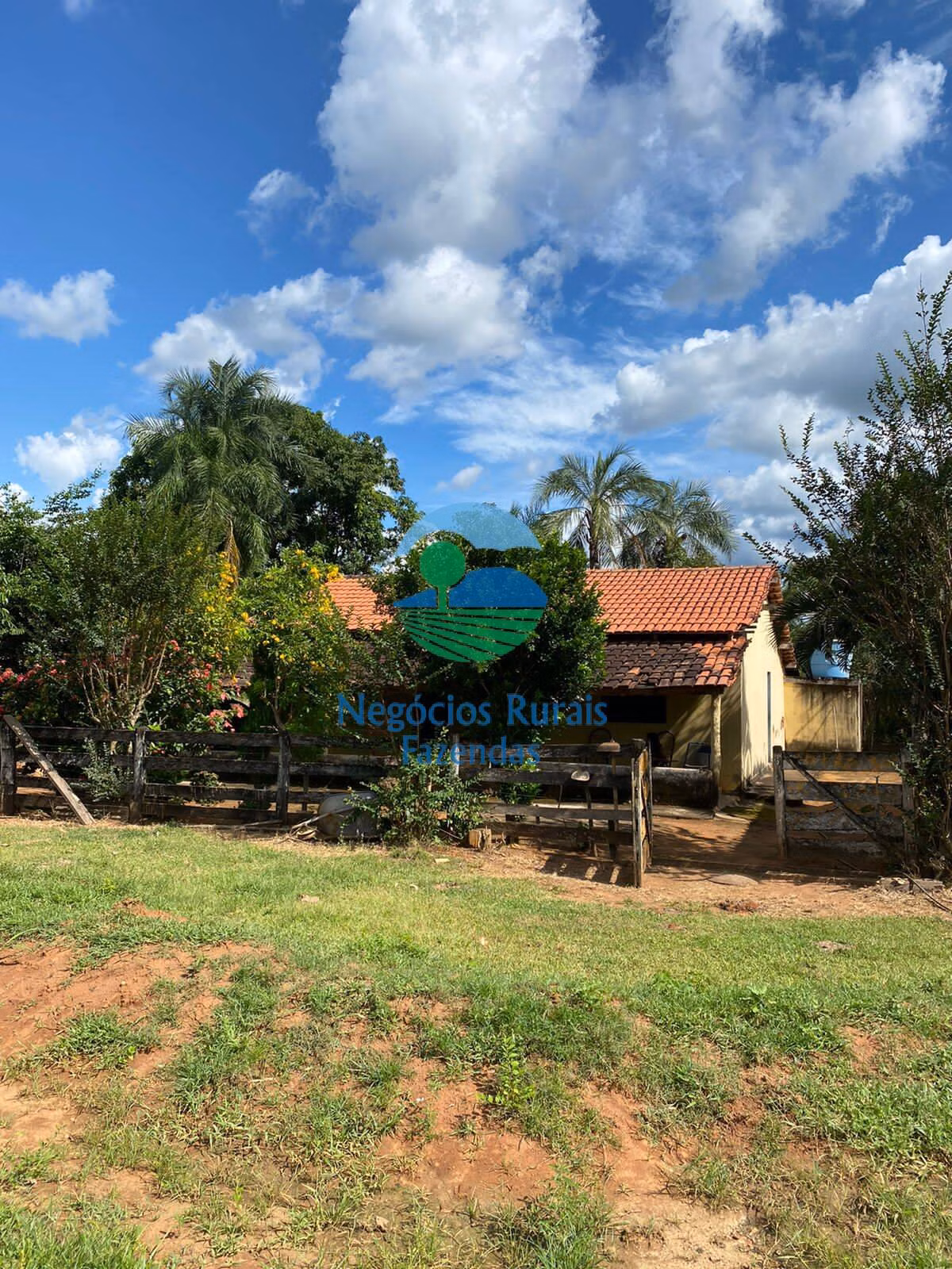 Fazenda de 435 ha em Paraíso do Tocantins, TO