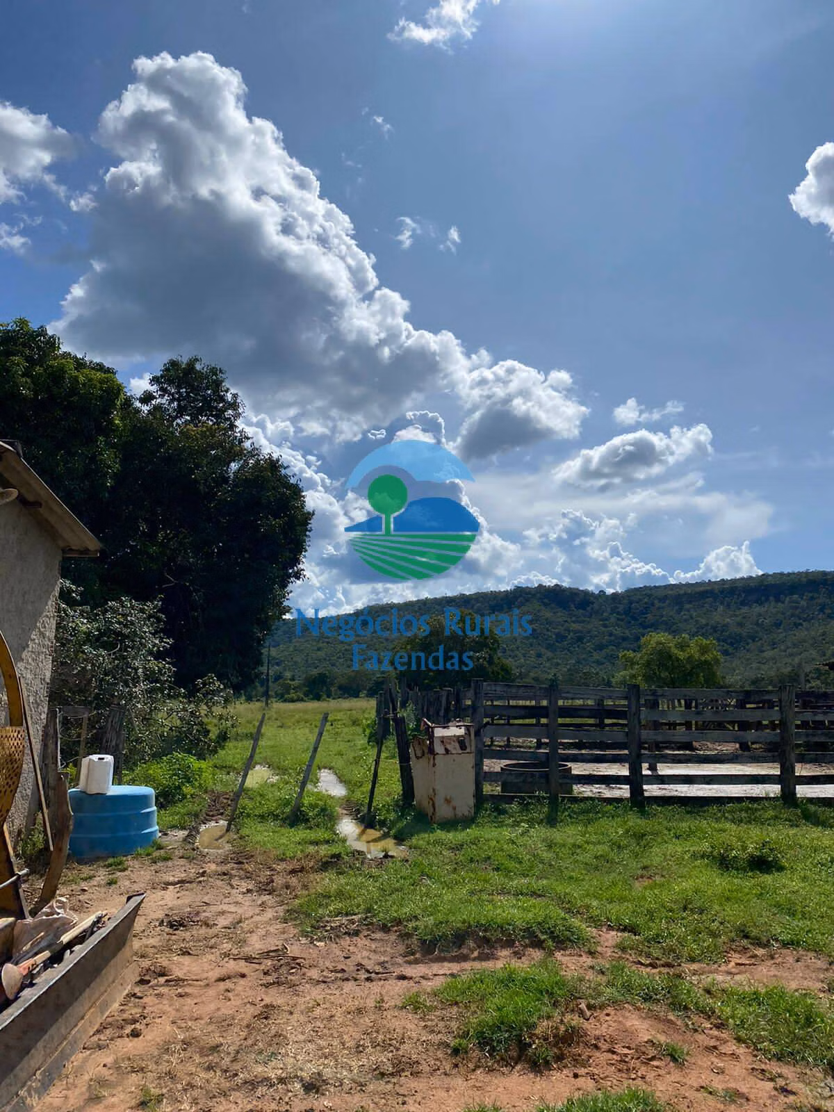Fazenda de 435 ha em Paraíso do Tocantins, TO
