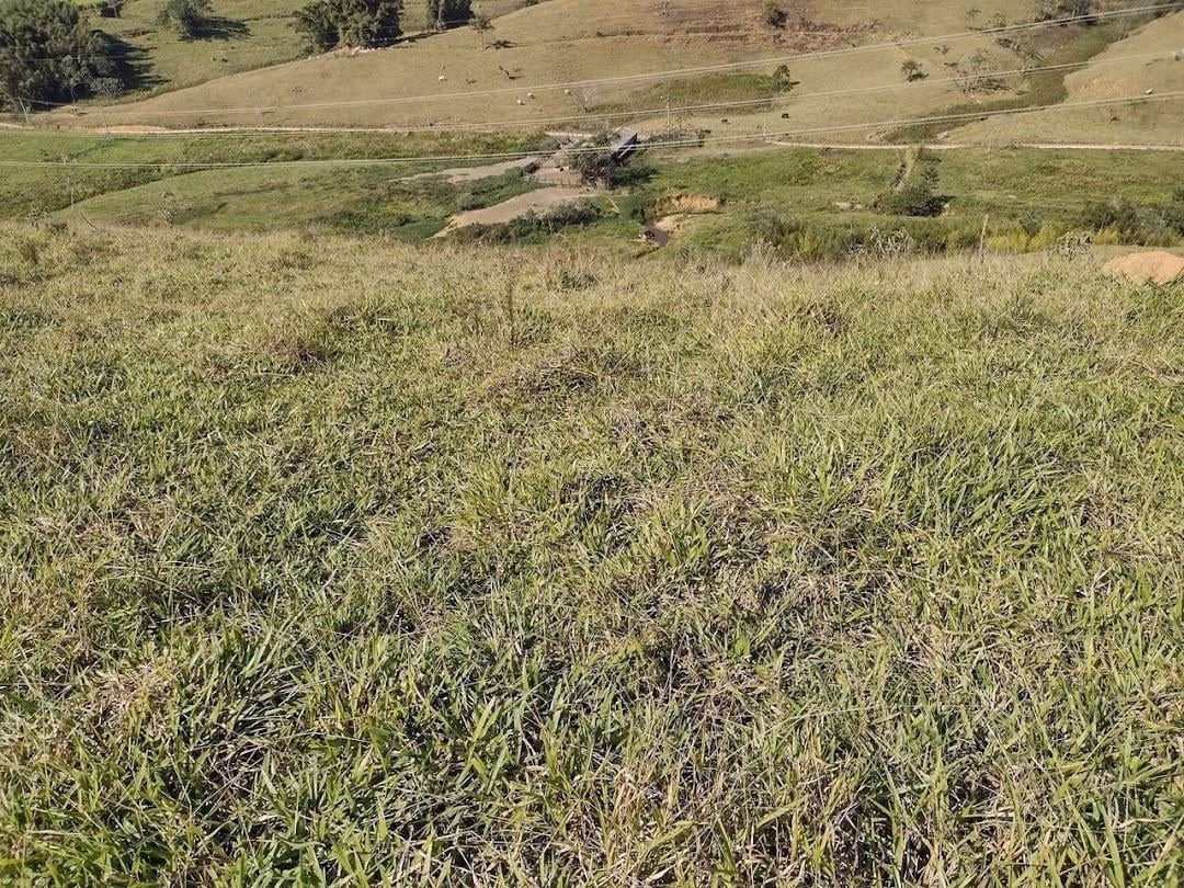 Fazenda à venda de 105 ha em São José do Barreiro, SP