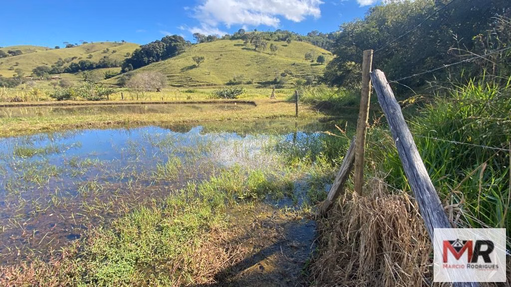 Chácara de 3.600 m² em Borda da Mata, MG