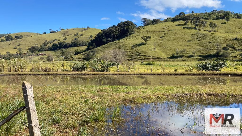 Chácara de 3.600 m² em Borda da Mata, MG
