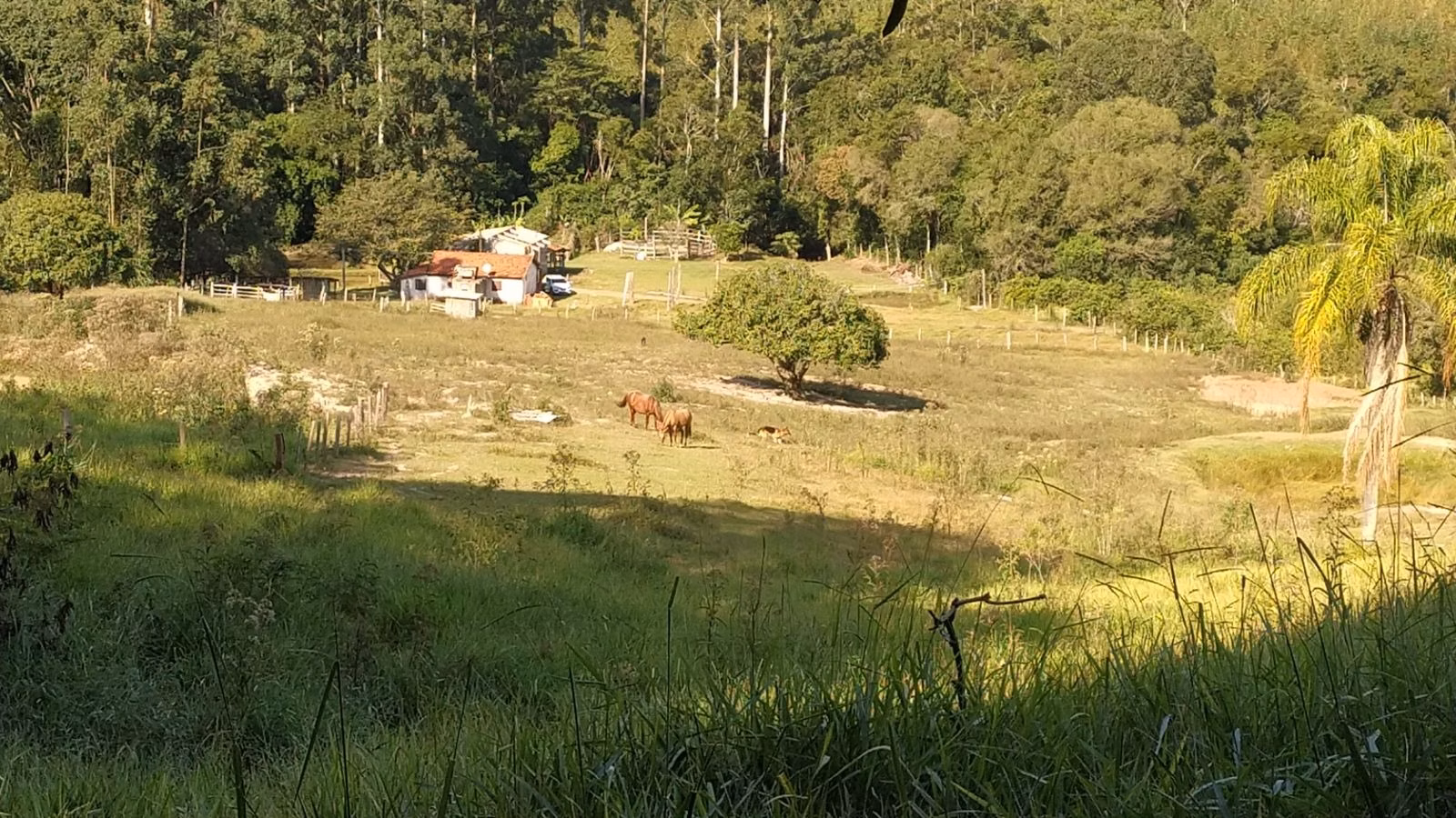 Country home of 12 acres in Itapetininga, SP, Brazil