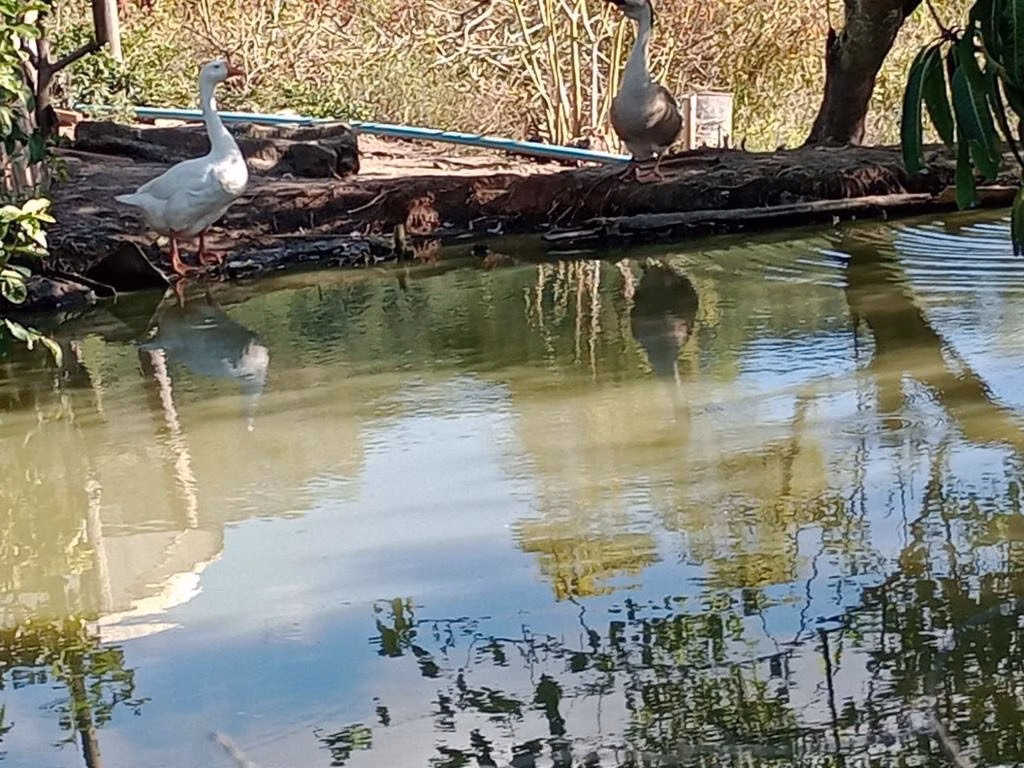Chácara de 2 ha em Paraibuna, SP