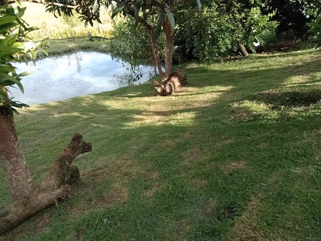 Chácara de 2 ha em Paraibuna, SP