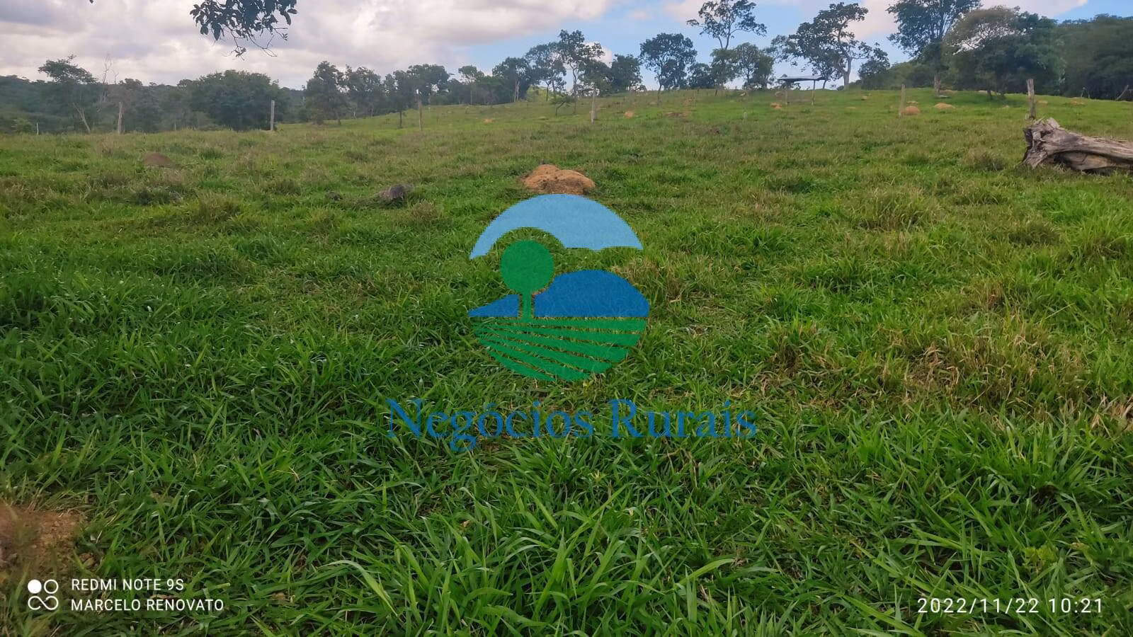 Fazenda de 121 ha em Bela Vista de Goiás, GO