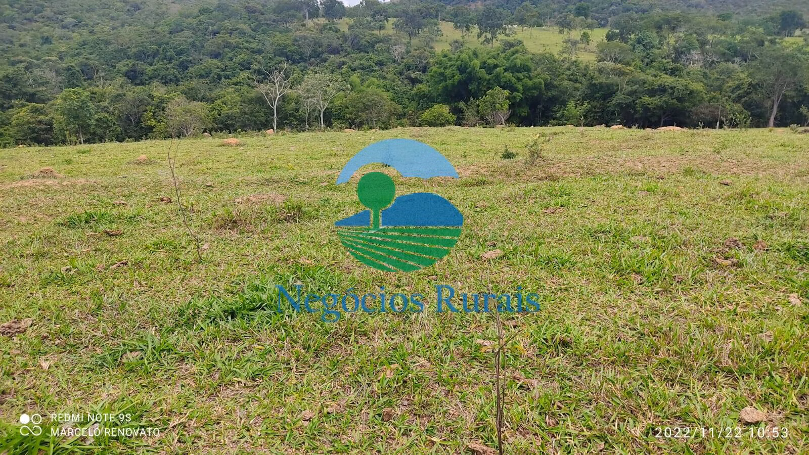 Fazenda de 121 ha em Bela Vista de Goiás, GO