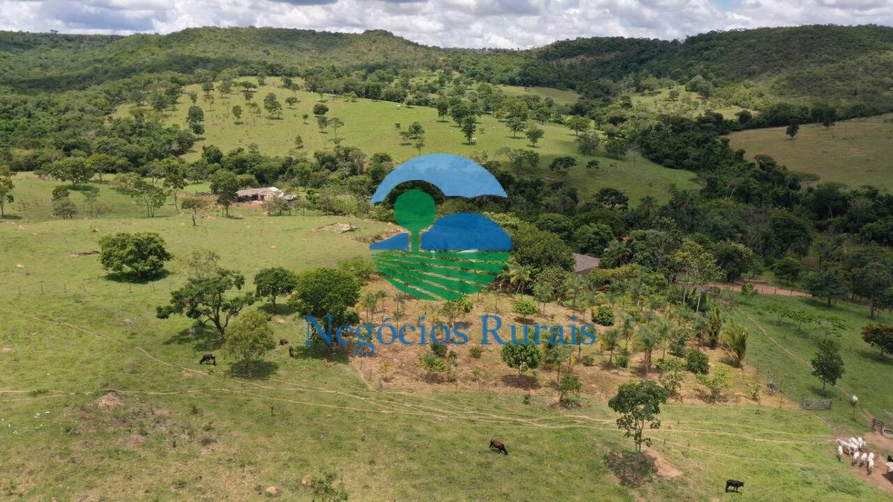 Fazenda de 121 ha em Bela Vista de Goiás, GO