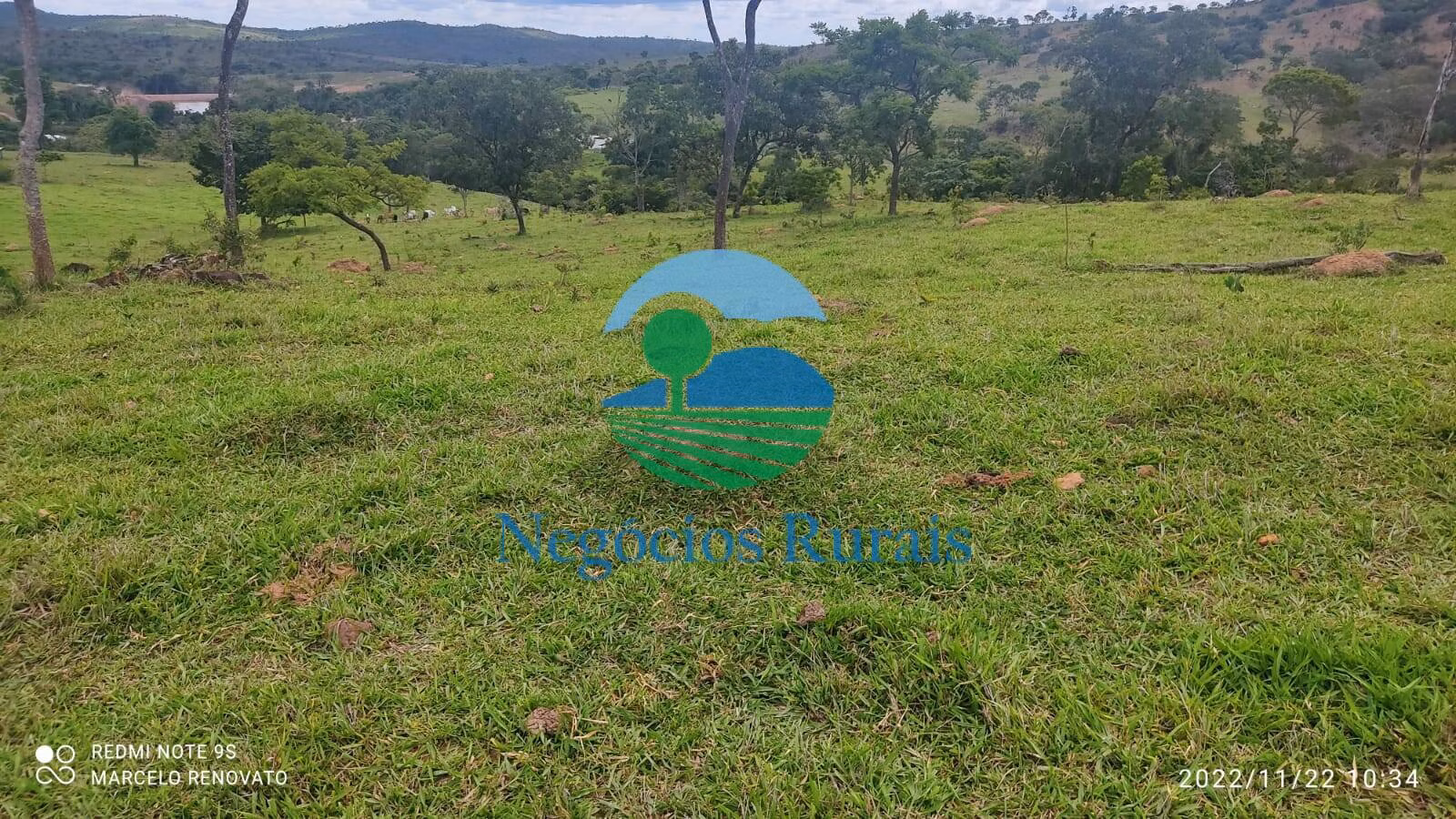 Fazenda de 121 ha em Bela Vista de Goiás, GO