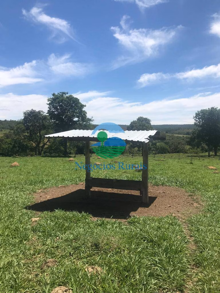 Fazenda de 121 ha em Bela Vista de Goiás, GO