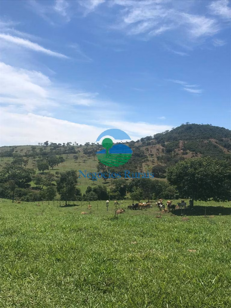 Fazenda de 121 ha em Bela Vista de Goiás, GO