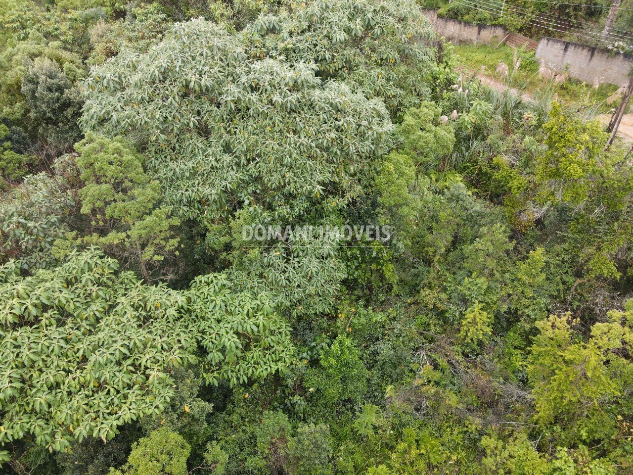 Plot of 1,020 m² in Campos do Jordão, SP, Brazil