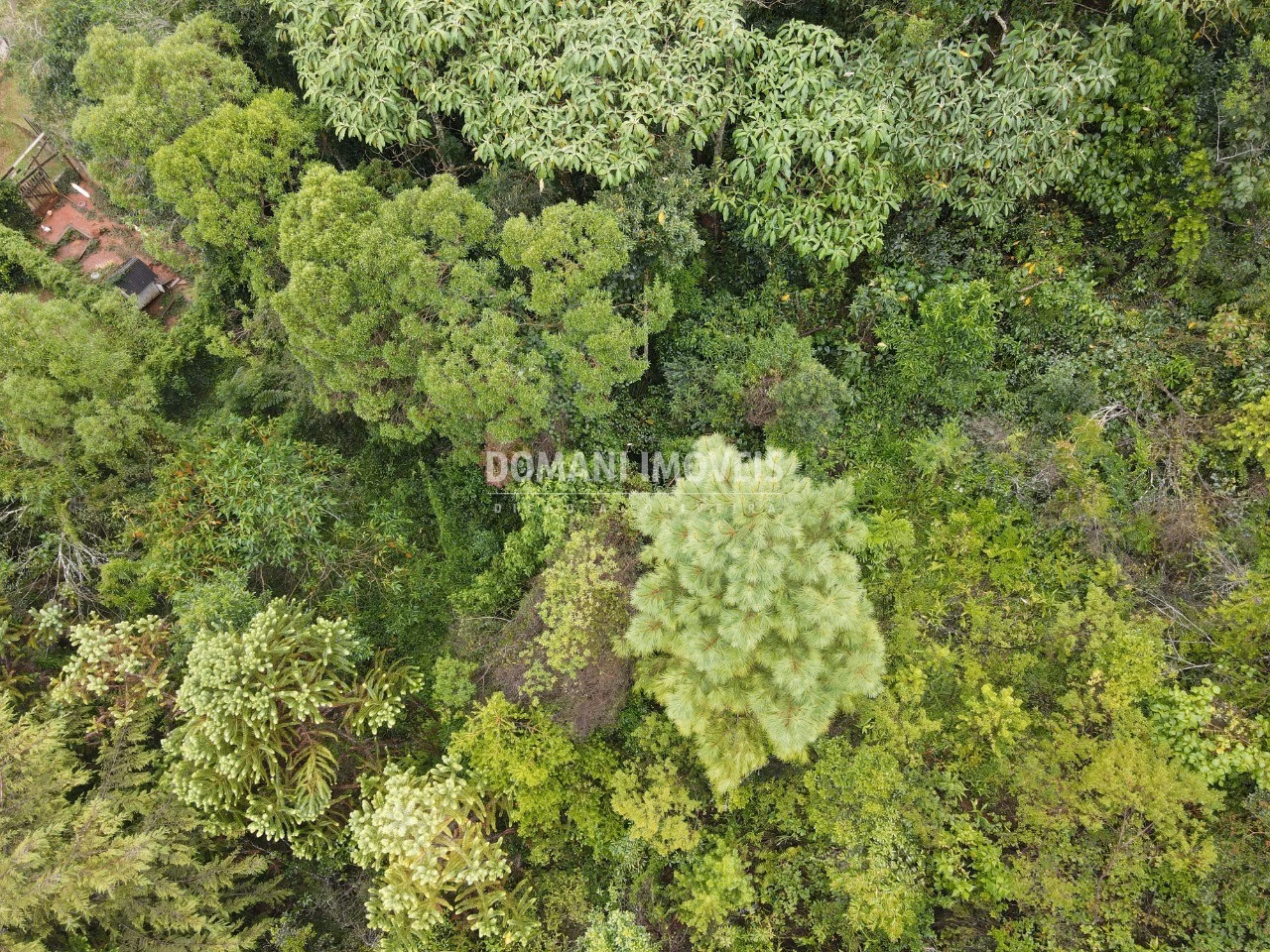 Plot of 1,020 m² in Campos do Jordão, SP, Brazil