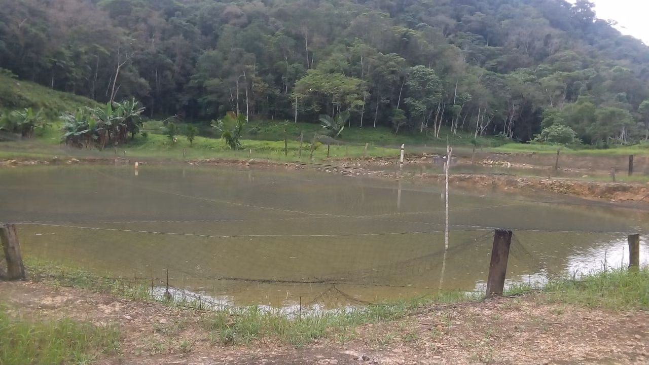 Fazenda de 125 ha em Juquiá, SP