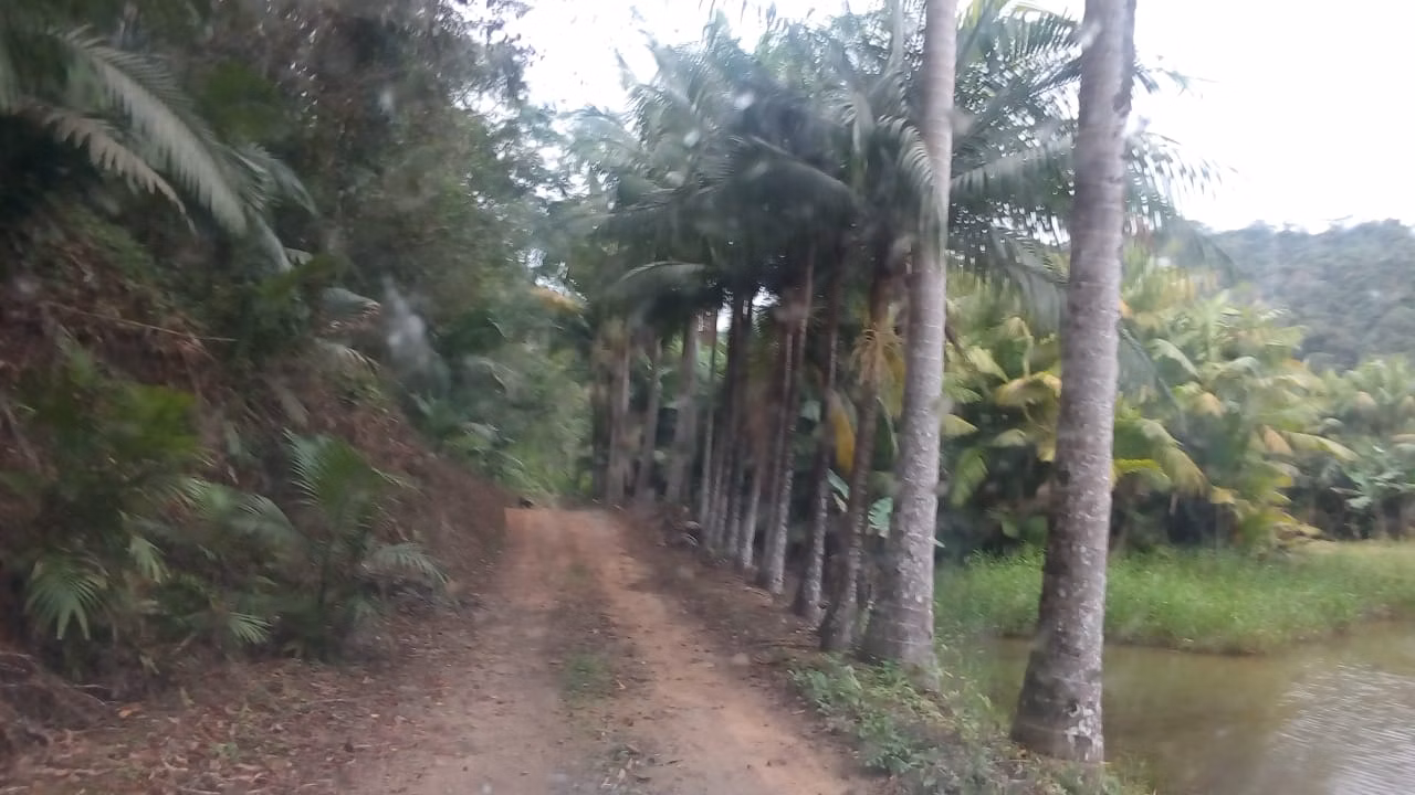 Farm of 309 acres in Juquiá, SP, Brazil