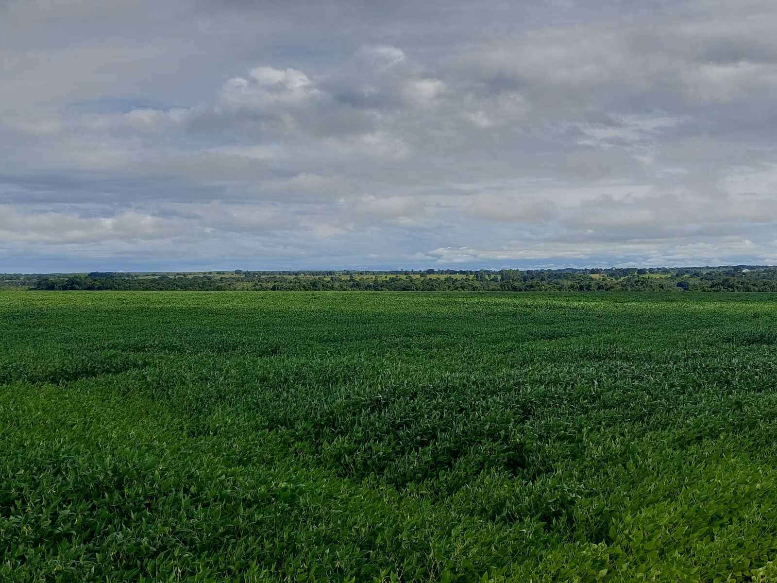 Farm of 2.392 acres in Santa Fé do Araguaia, TO, Brazil