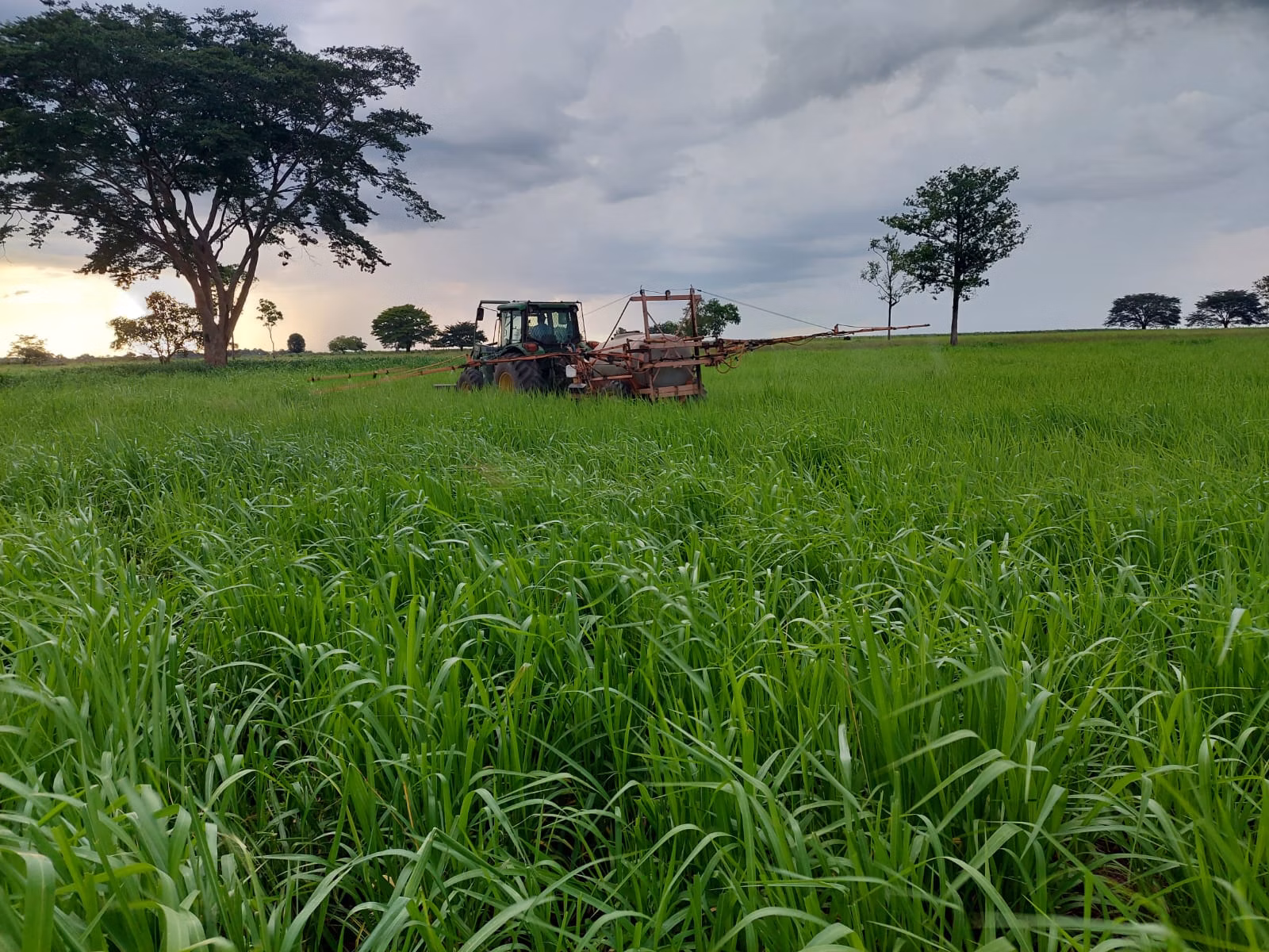 Farm of 2.392 acres in Santa Fé do Araguaia, TO, Brazil