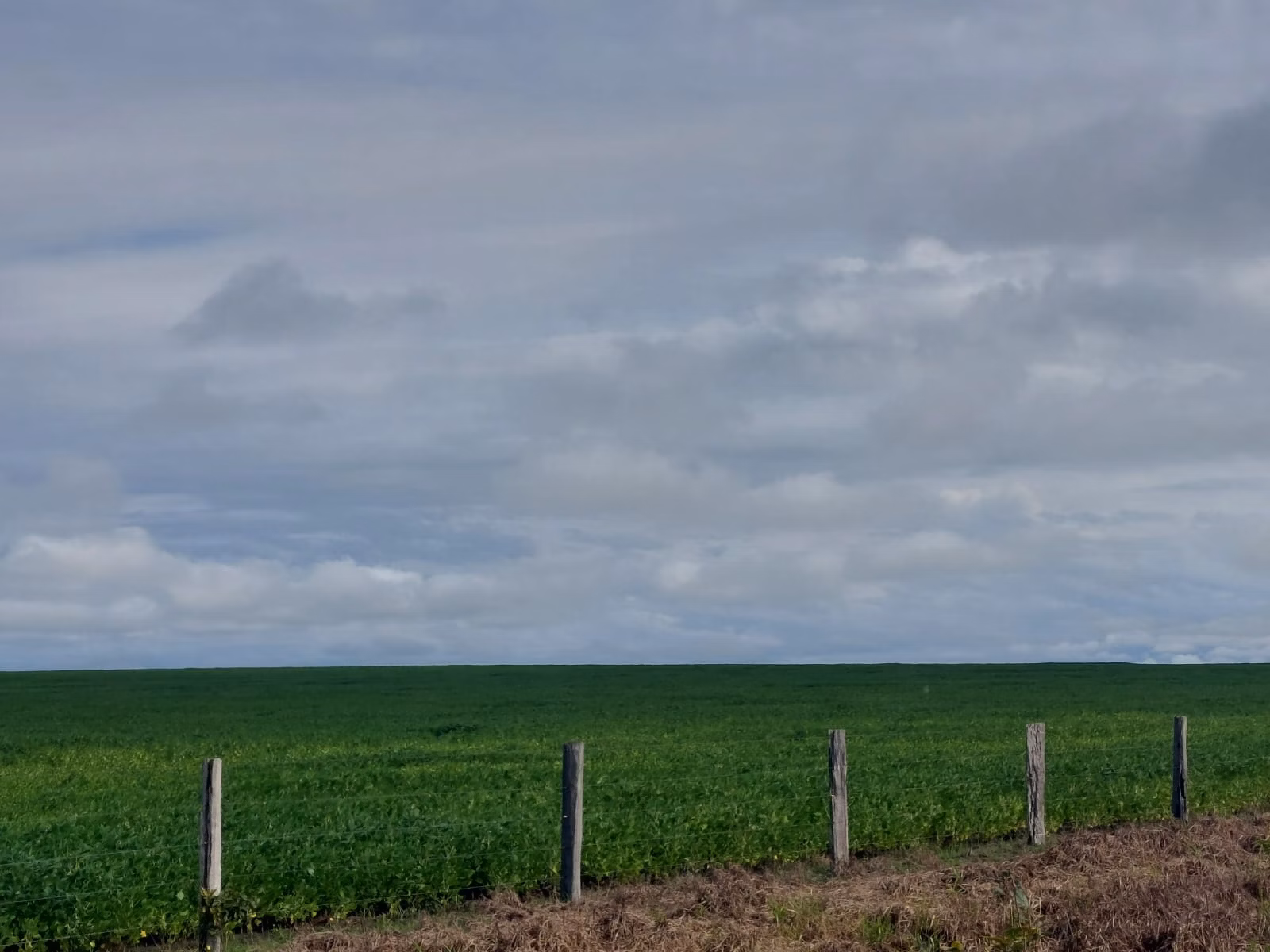 Farm of 2.392 acres in Santa Fé do Araguaia, TO, Brazil