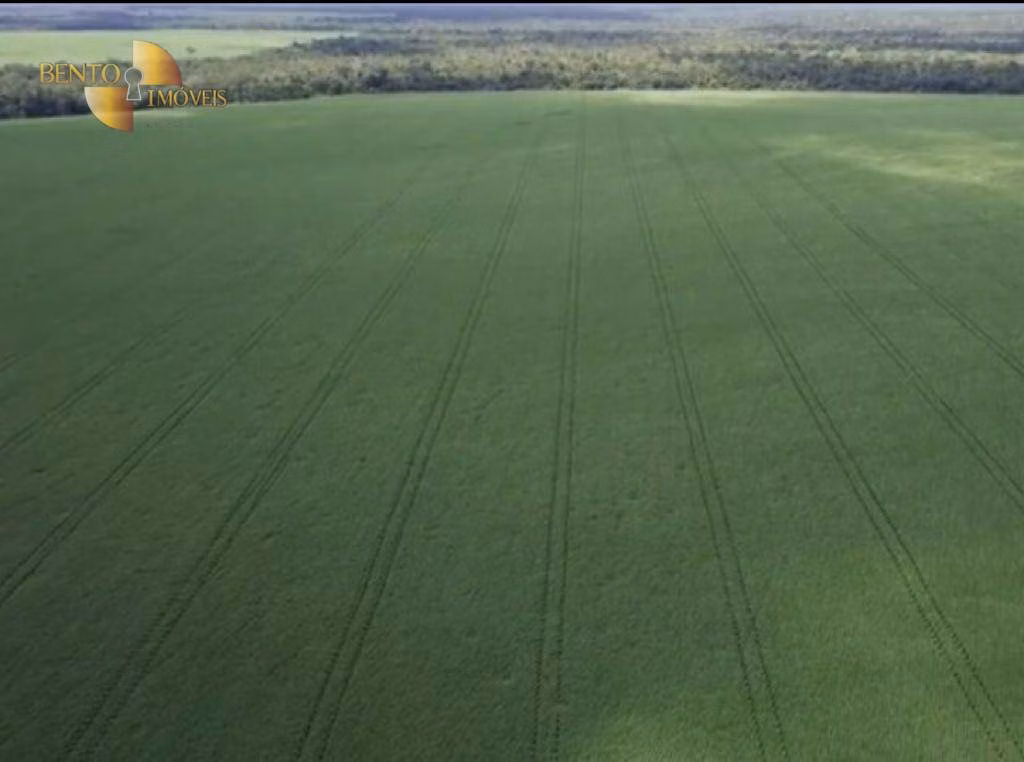 Fazenda de 5.050 ha em Porto dos Gaúchos, MT