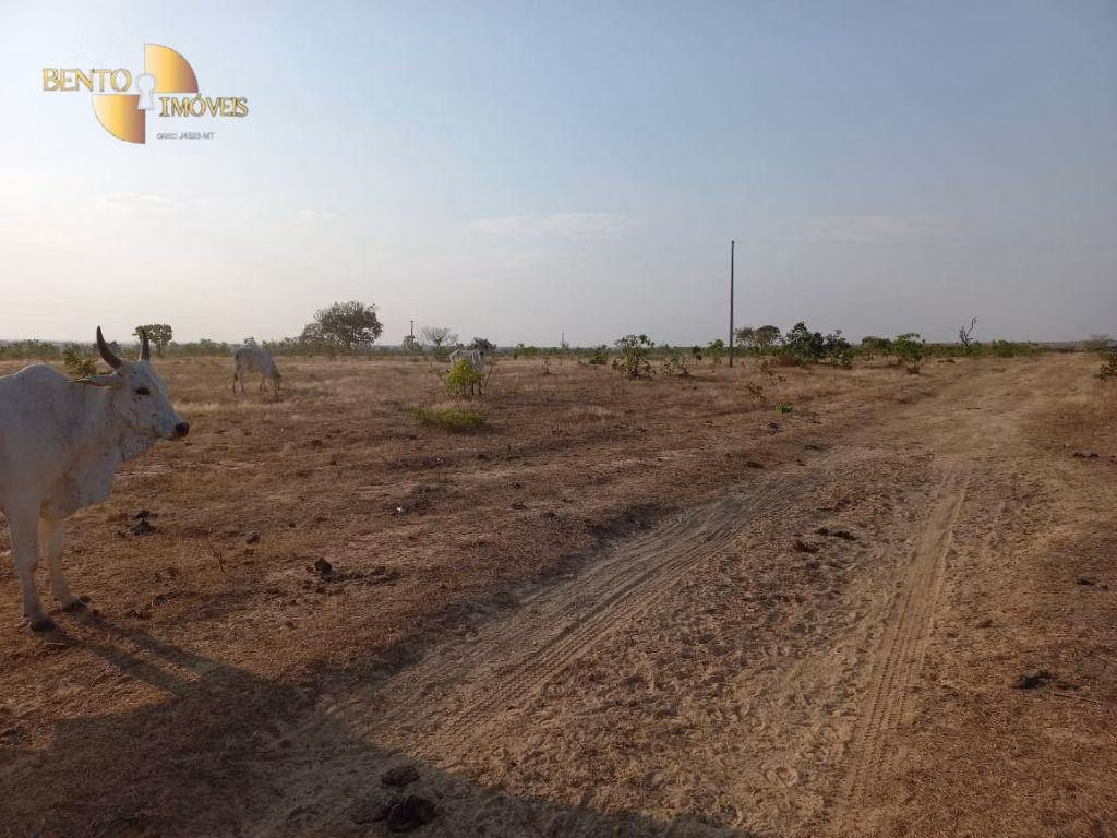 Farm of 7,413 acres in Paranatinga, MT, Brazil