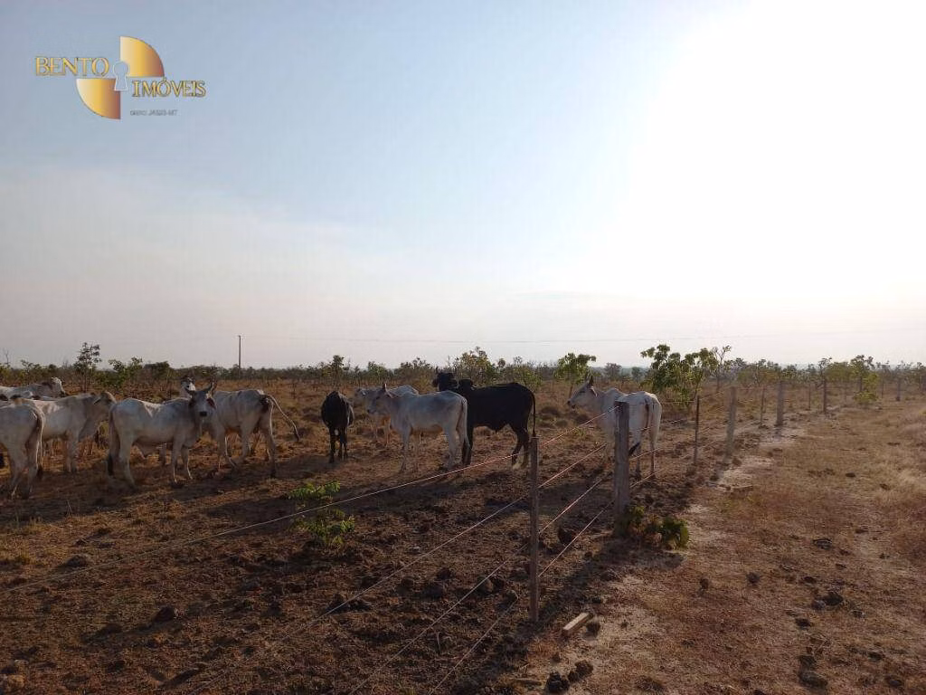 Farm of 7,413 acres in Paranatinga, MT, Brazil