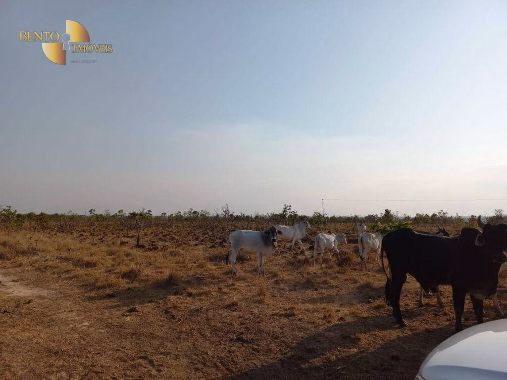 Farm of 7,413 acres in Paranatinga, MT, Brazil