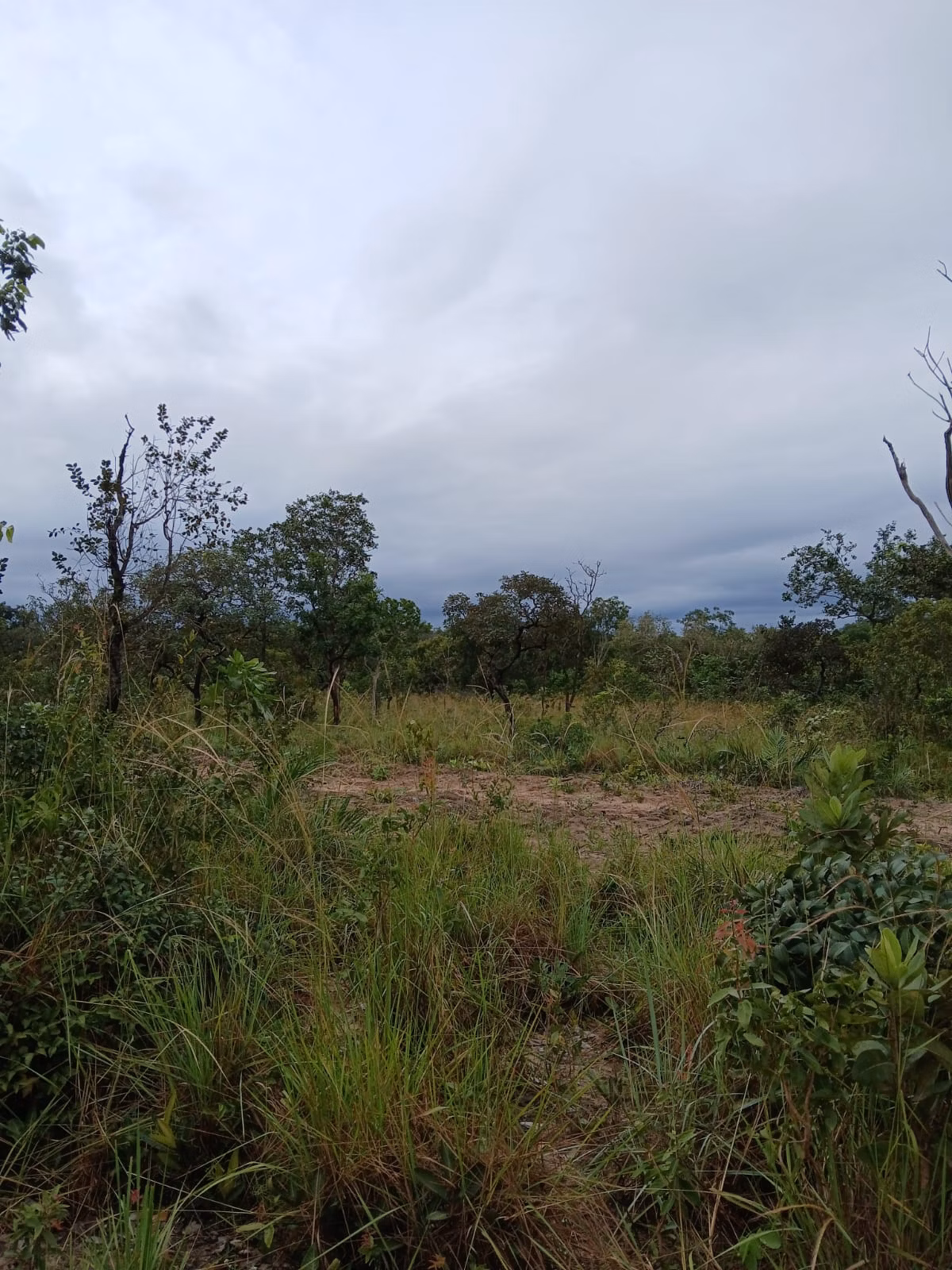 Fazenda de 74 ha em Baixa Grande do Ribeiro, PI