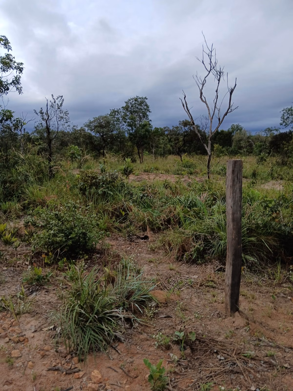Fazenda de 74 ha em Baixa Grande do Ribeiro, PI