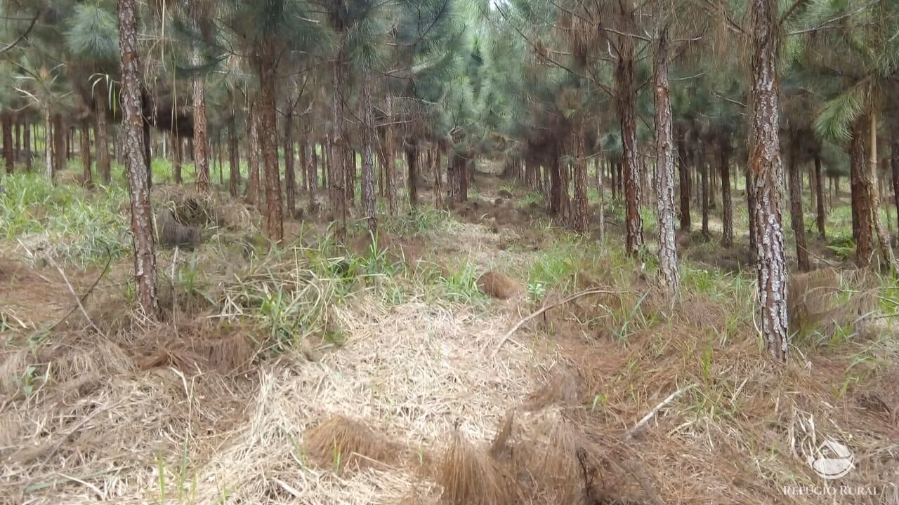 Fazenda de 370 ha em Registro, SP