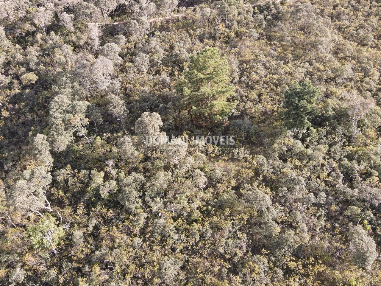 Terreno de 1.010 m² em Campos do Jordão, SP