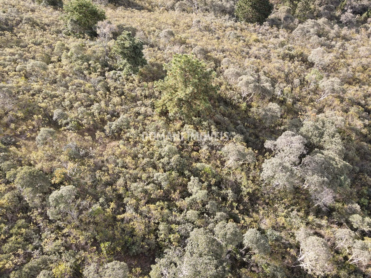 Plot of 1,010 m² in Campos do Jordão, SP, Brazil